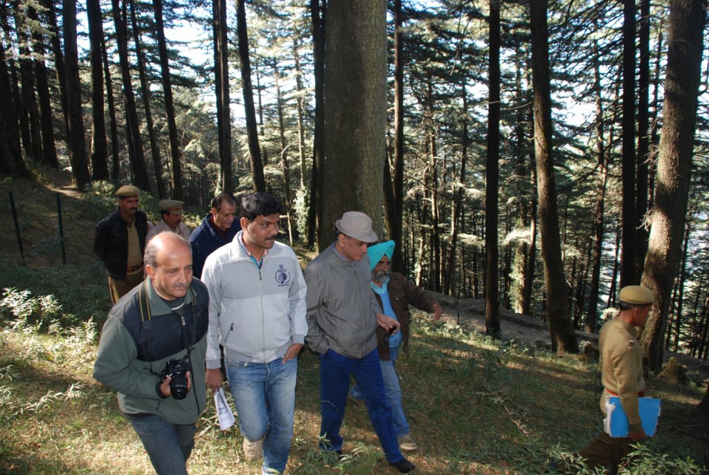 DG ICFRE in chail forest